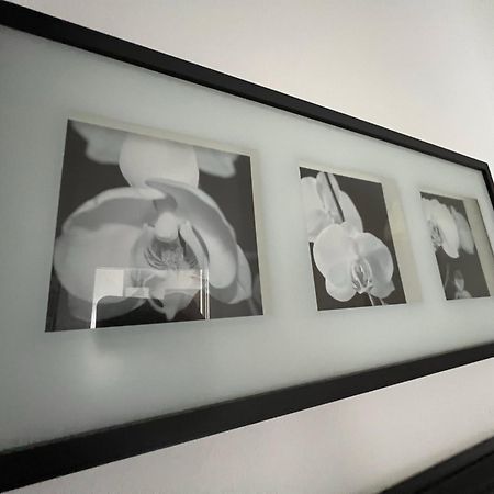 Celia'S Home - Expo Fiera Milano Pero Εξωτερικό φωτογραφία